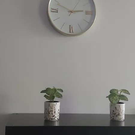 Centre River View Appartement *