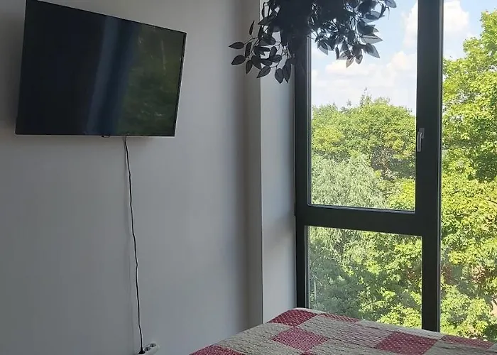 Centre River View Appartement